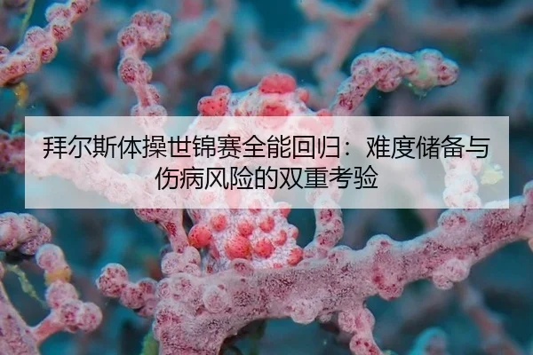 拜尔斯体操世锦赛全能回归：难度储备与伤病风险的双重考验