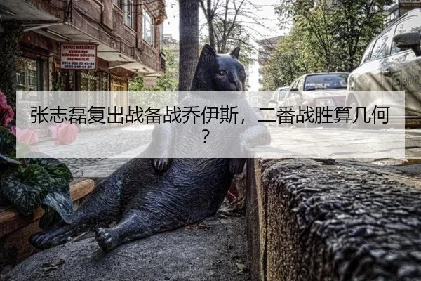 张志磊复出战备战乔伊斯，二番战胜算几何？