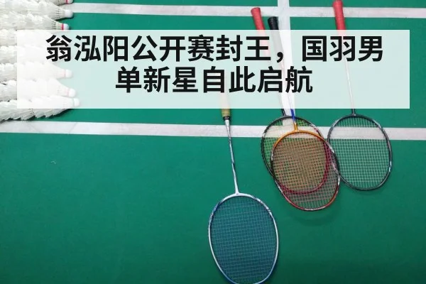 翁泓阳公开赛封王,国羽男单新星自此启航