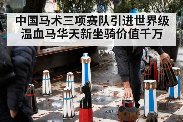 中国马术三项赛队引进世界级温血马华天新坐骑价值千万